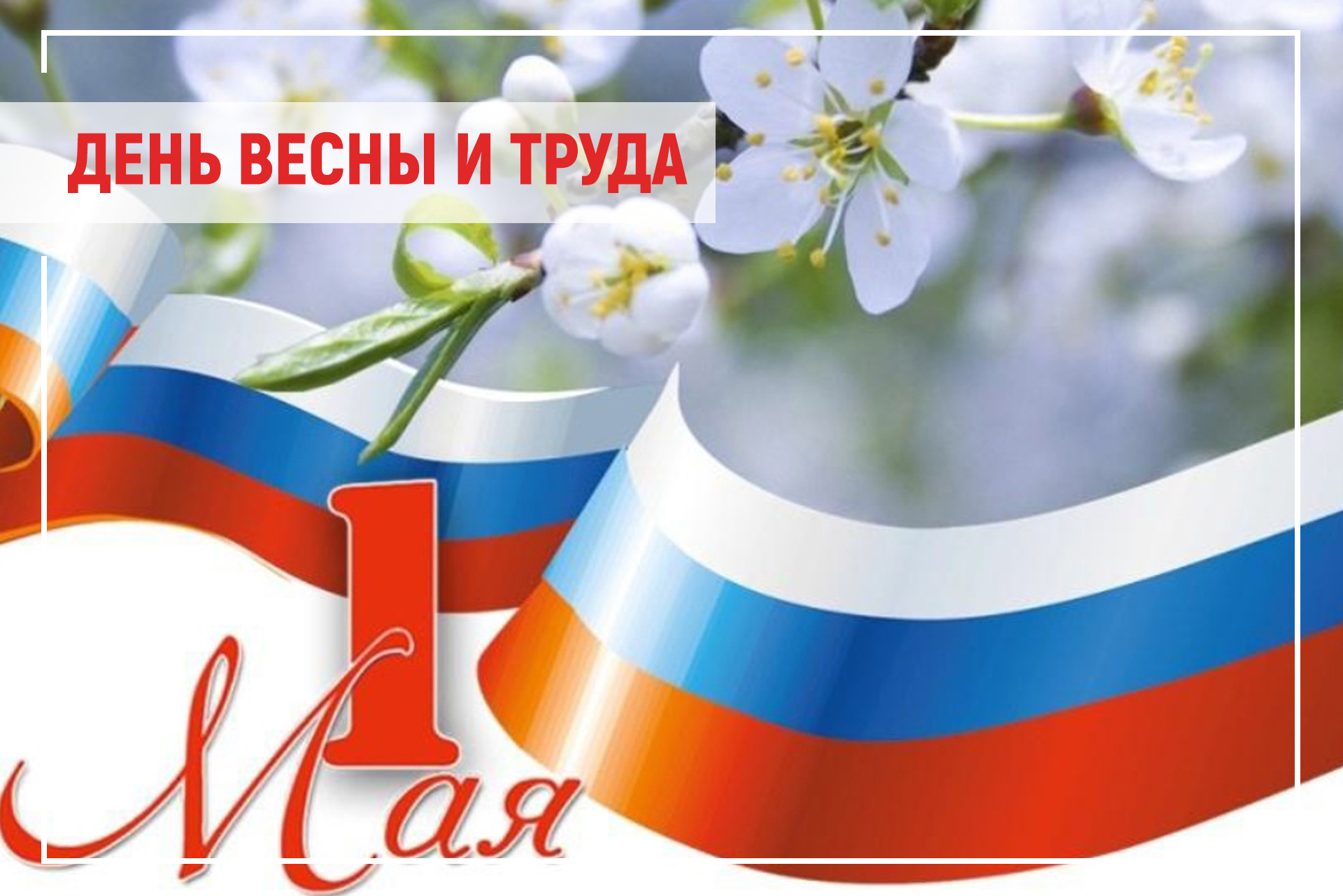 Поздравление главы Таймыра Алексея Членова с Днем весны и труда.