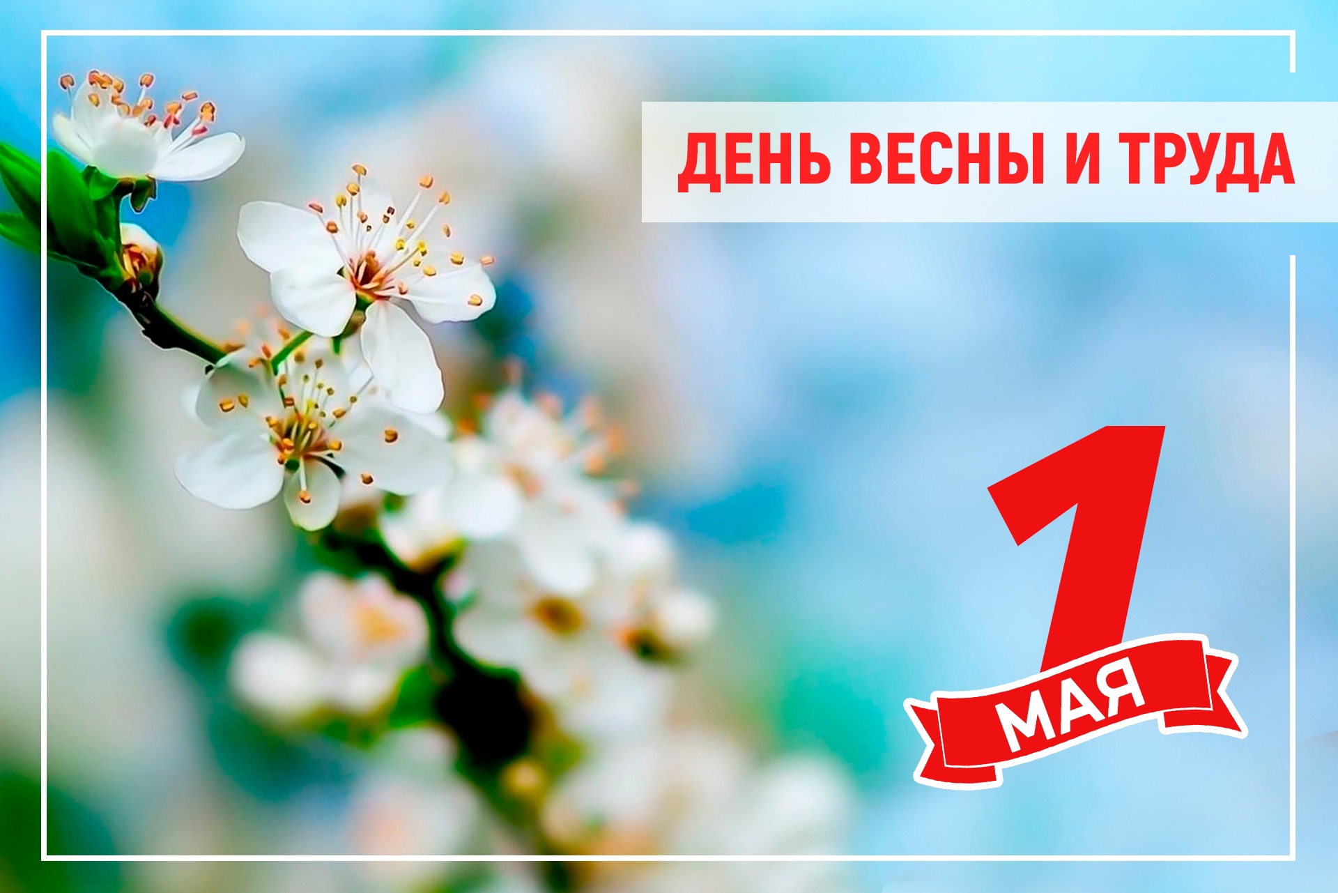Поздравление Председателя Таймырского Долгано-Ненецкого районного Совета депутатов Владимира Шишова с Днём весны и труда.